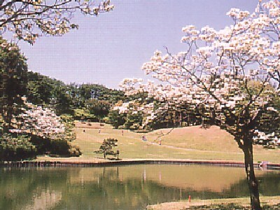 桜ヶ丘カントリークラブ