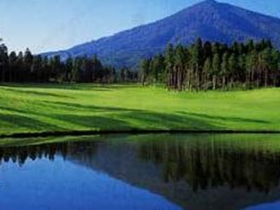 宮崎大淀カントリークラブ
